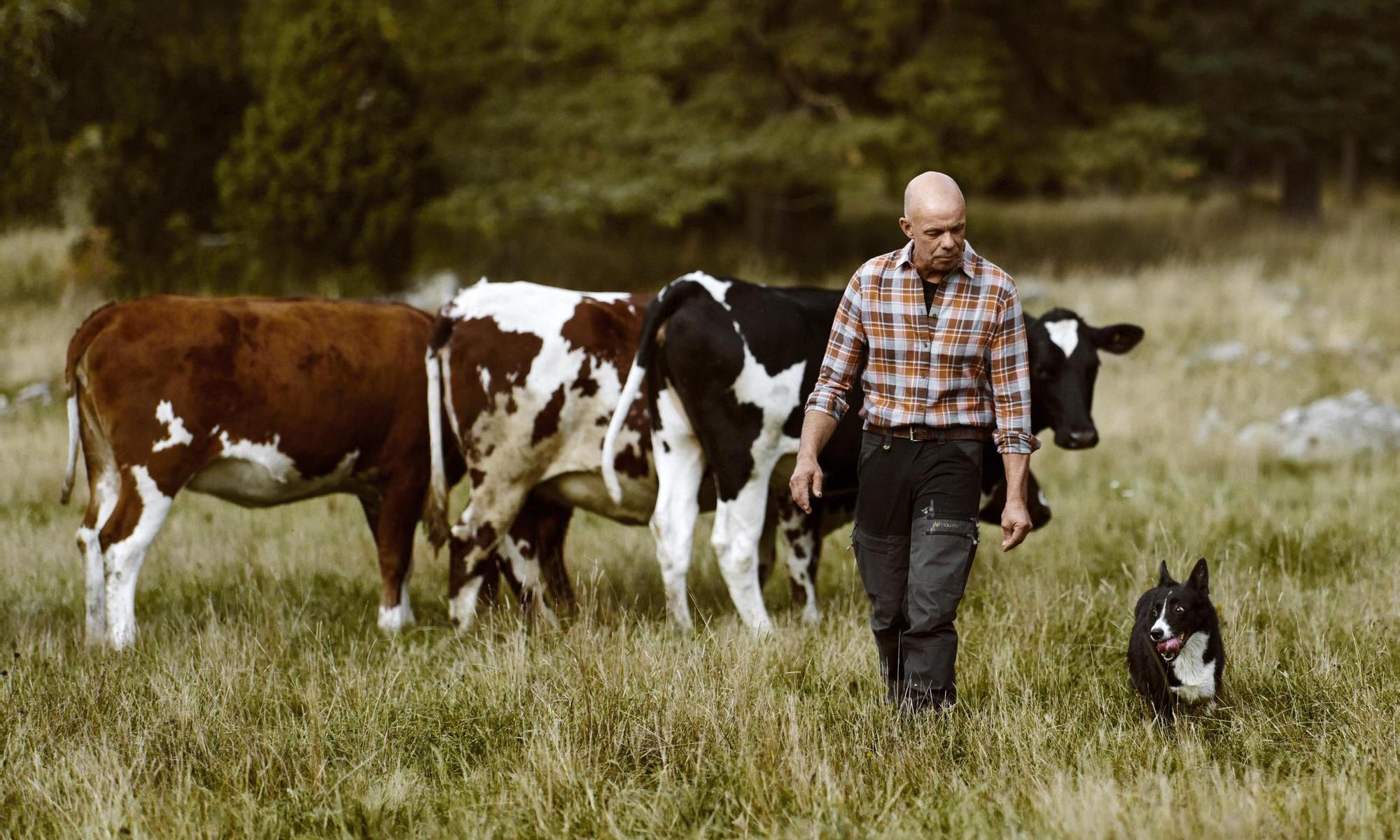 Farmer and his dog out in the pasture