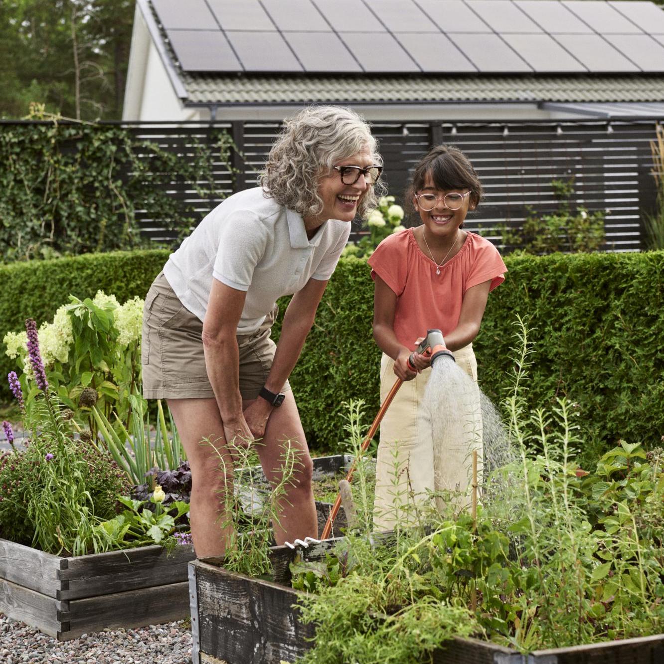 Grandmother and granddaughter watering in kitchen garden