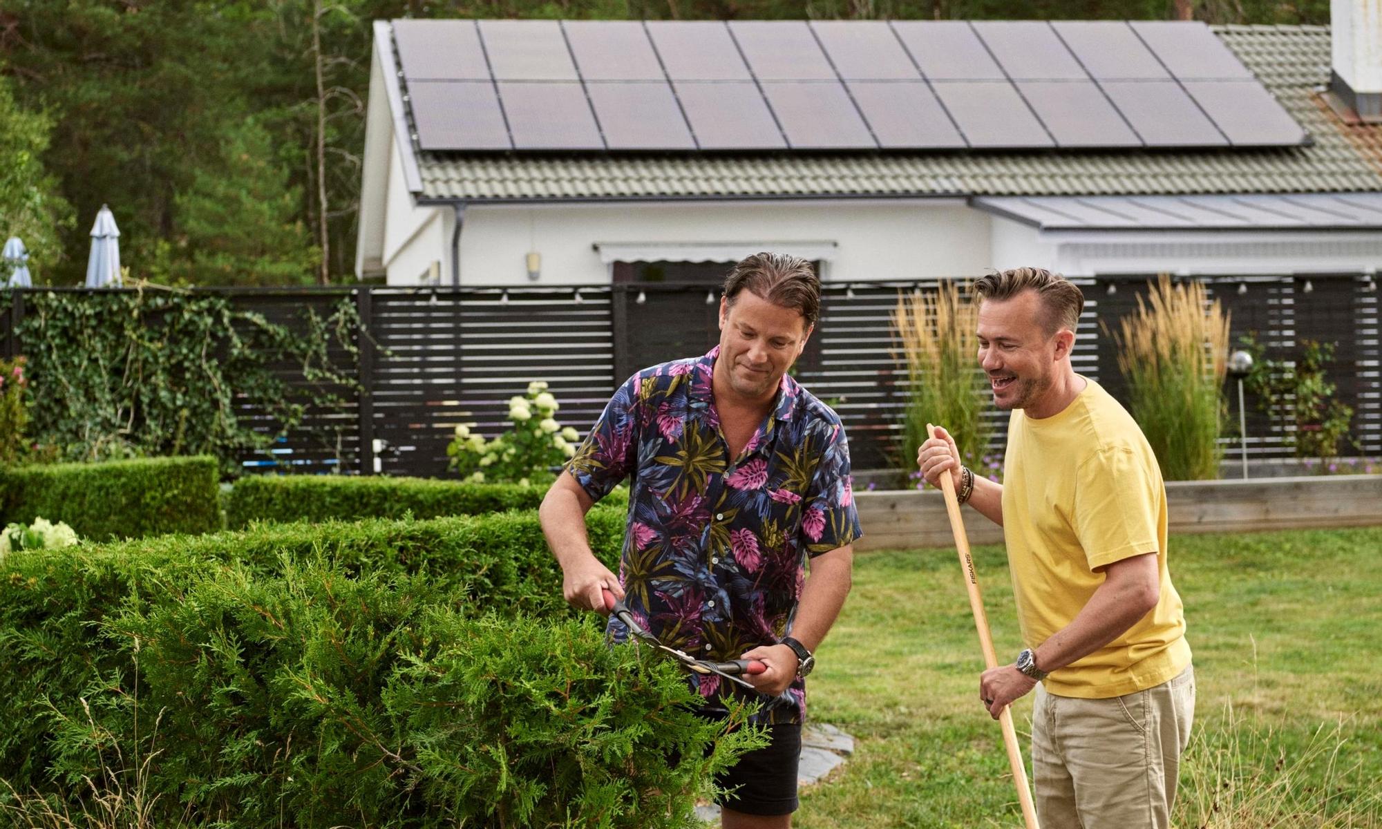 Two men gardening, trimming the hedge. Solar panels in the background